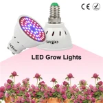 1Pcs LED Grow Light Full Spectrum Fitolampy 48 60 80Leds E27 GU10 MR16 Led Plant Grow Lamp Light 220V For Hydroponics Greenhouse