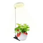 LED Plant Grow Light Sun Simulation Fill Lamp for Flower LED Full Spectrum Grow Lights for Indoor Plants with 360 Rotation